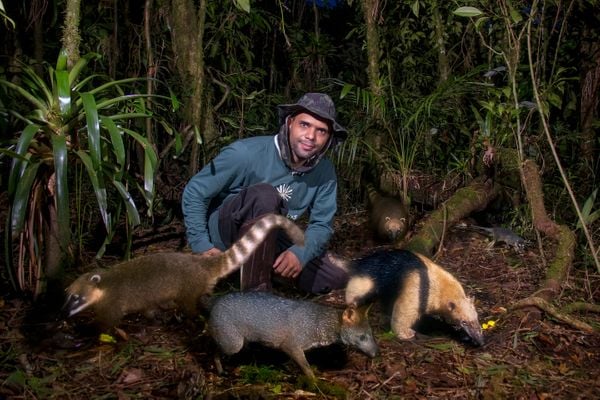 Água, plantas e animais: riquezas naturais do Corredor Ecológico entre o Parque de Pedra Azul ao Parque de Forno Grande  por Leonardo Merçon