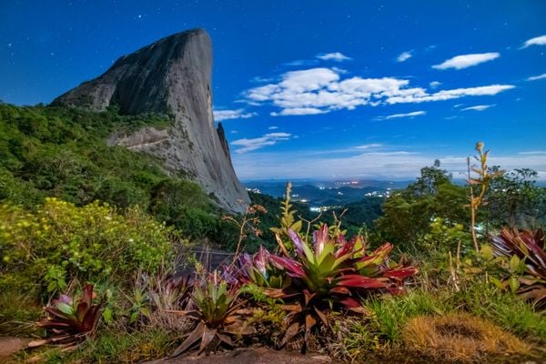 Água, plantas e animais: riquezas naturais do Corredor Ecológico entre o Parque de Pedra Azul ao Parque de Forno Grande  por Leonardo Merçon