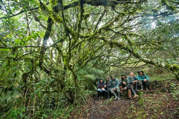 Água, plantas e animais: riquezas naturais do Corredor Ecológico entre o Parque de Pedra Azul ao Parque de Forno Grande  por Leonardo Merçon