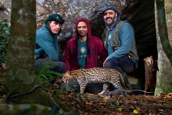 Água, plantas e animais: riquezas naturais do Corredor Ecológico entre o Parque de Pedra Azul ao Parque de Forno Grande  por Leonardo Merçon