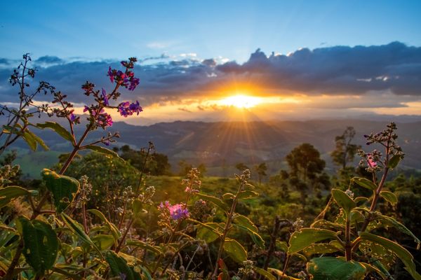 Água, plantas e animais: riquezas naturais do Corredor Ecológico entre o Parque de Pedra Azul ao Parque de Forno Grande  por Leonardo Merçon