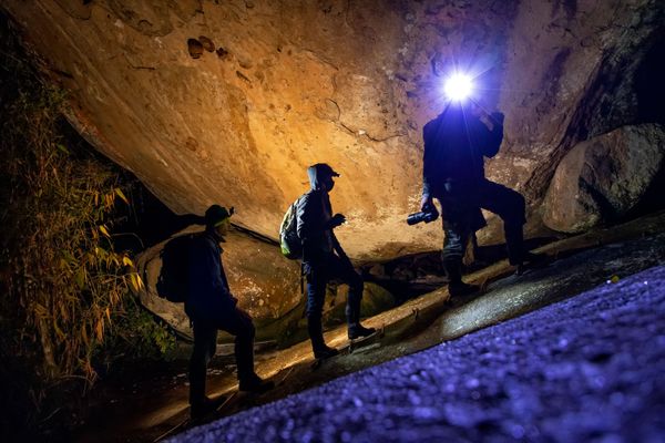 Água, plantas e animais: riquezas naturais do Corredor Ecológico entre o Parque de Pedra Azul ao Parque de Forno Grande  por Augusto Gomes 