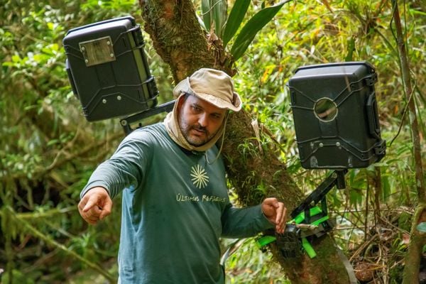 Água, plantas e animais: riquezas naturais do Corredor Ecológico entre o Parque de Pedra Azul ao Parque de Forno Grande  por Augusto Gomes 
