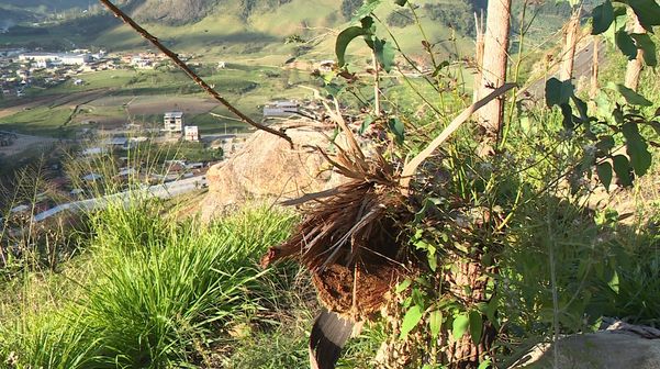 Pedra ameaça rolar e atingir casas em Vargem Alta