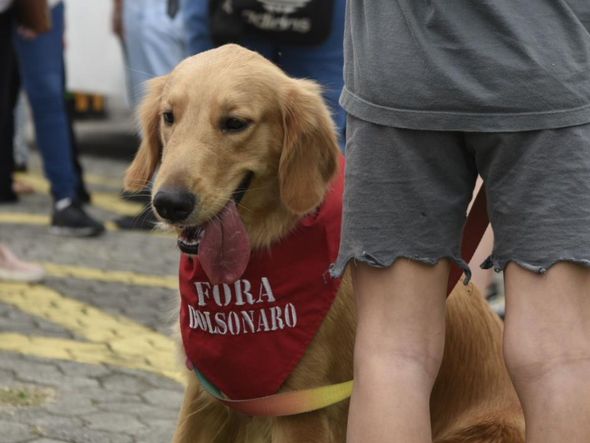 Manifestantes, contra o Governo Bolsonaro,  concentrados em frente ao Teatro da Ufes em Vitória por Vitor Jubini