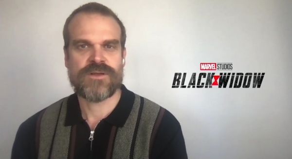 David Harbour, durante entrevista virtual para o lançamento do filme 