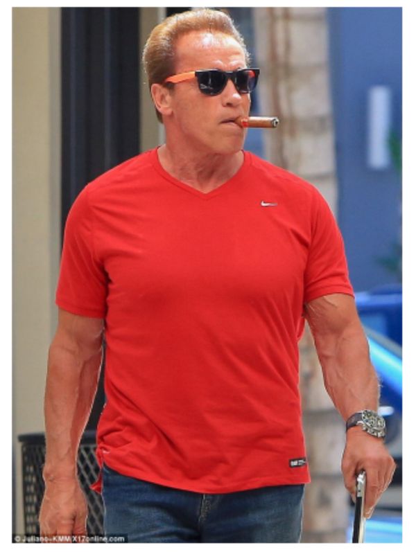Passando a Limpo: É falsa foto de Schwarzenegger com camiseta de apoio a Bolsonaro