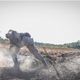 Bombeiros combatendo focos de queimadas no Pantanal de Corumbá