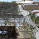 Imagem - "Jardim suspenso"? Mato cresce em prédios abandonados no Centro de Vitória