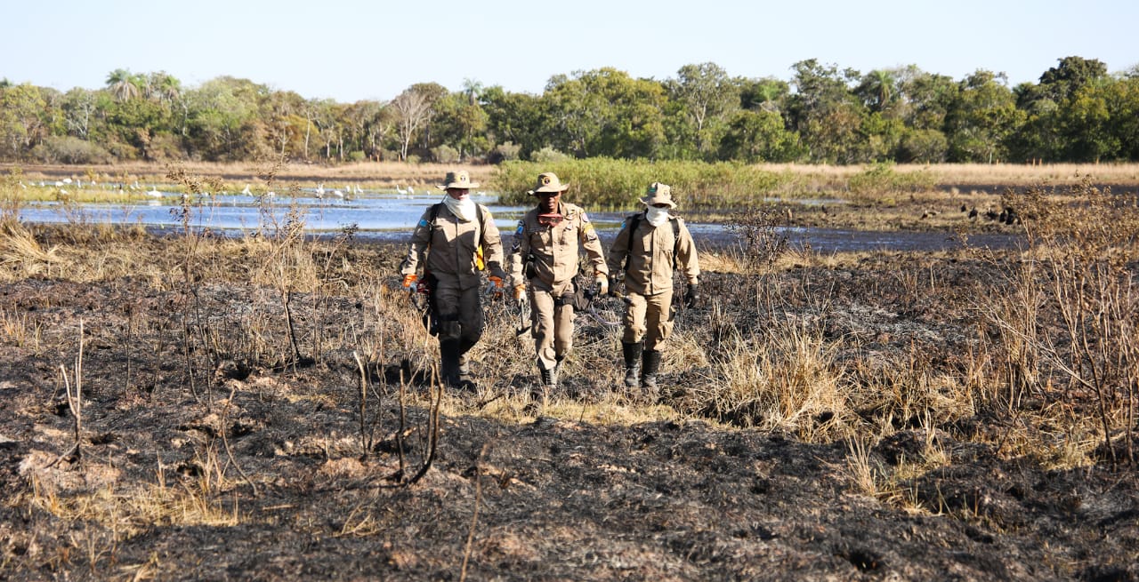 As chamas consumiram três mil hectares no Banhado do Rio da Prata e avançam sobre a região de Porto Morrinho, a 70 km da área urbana de Corumbá, no Mato Grosso do Sul