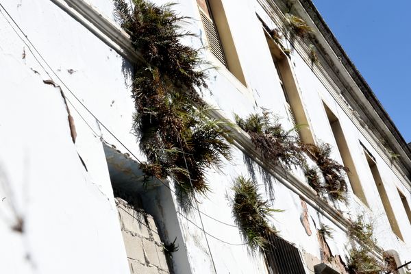Mato toma conta do prédio da antiga Escola São Vicente, na Cidade Alta, Vitória por Carlos Alberto Silva
