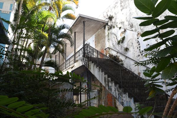 Mato toma conta do prédio da antiga Escola São Vicente, na Cidade Alta, Vitória por Carlos Alberto Silva