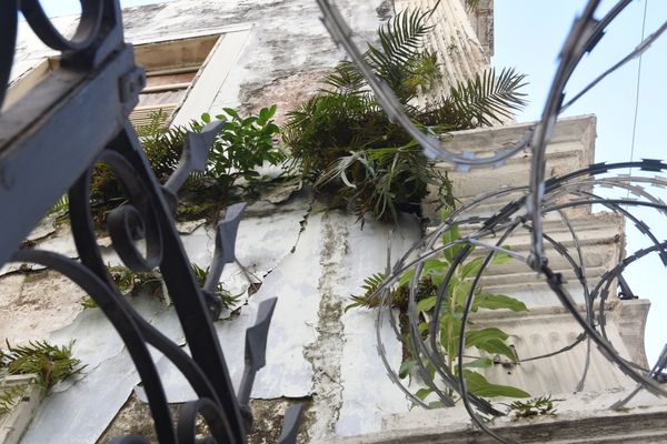 Mato toma conta do prédio da antiga Escola São Vicente, na Cidade Alta, Vitória por Carlos Alberto Silva