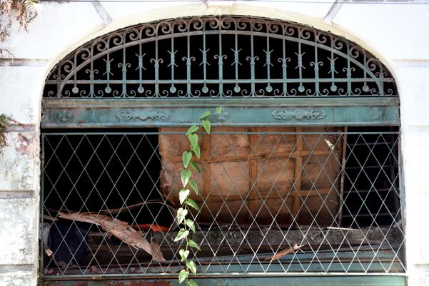 Abandonado, o mato toma do Mercado da Capixaba, no Centro de Vitória  por Carlos Alberto Silva