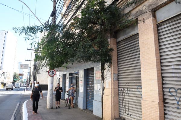 O mato toma conta da fachada de um prédio na Avenida Jerônimo Monteiro, em frente a Fafi, no Centro de Vitória.  por Carlos Alberto Silva