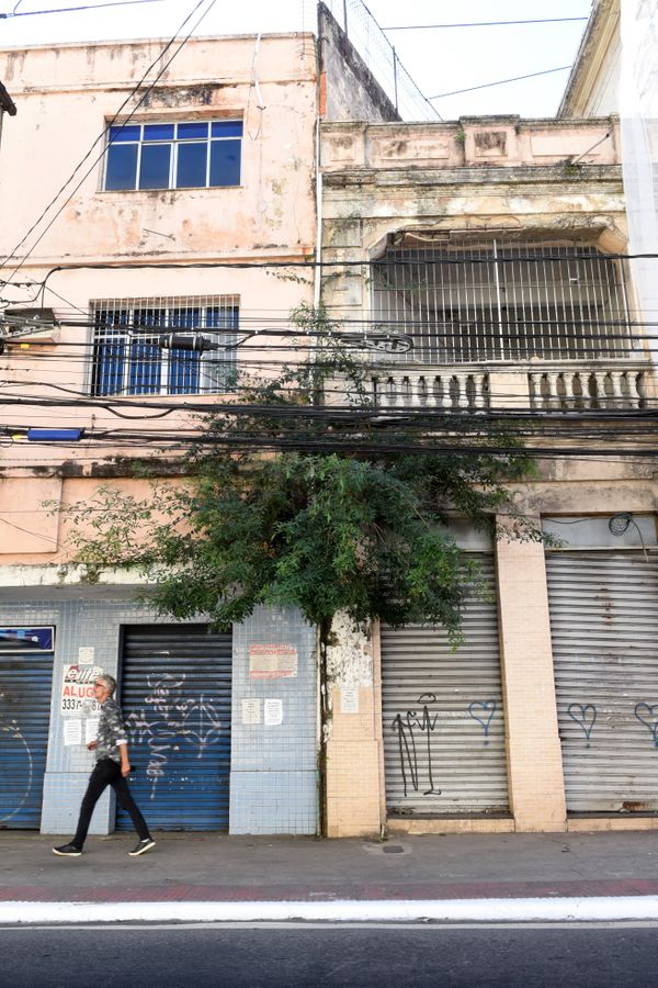 O mato toma conta da fachada de um prédio na Avenida Jerônimo Monteiro, em frente a Fafi, no Centro de Vitória.  por Carlos Alberto Silva