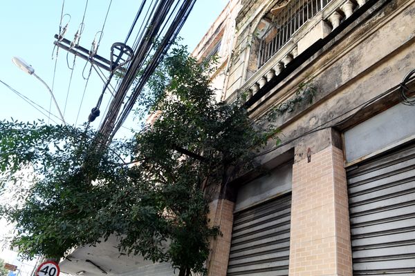 O mato toma conta da fachada de um prédio na Avenida Jerônimo Monteiro, em frente a Fafi, no Centro de Vitória.  por Carlos Alberto Silva