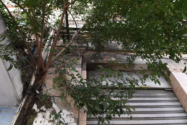 O mato toma conta da fachada de um prédio na Avenida Jerônimo Monteiro, em frente a Fafi, no Centro de Vitória.  por Carlos Alberto Silva