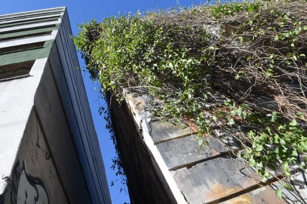 Mato toma conta de prédio abandonado na Rua Barão de Monjardim no Centro de Vitória por Carlos Alberto Silva