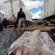 Suspeito detido em Cariacica desviou 100 quilos de carne suína para vender clandestinamente por R$ 600