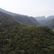 Imagem - Meta é recuperar e proteger 500 mil hectares de florestas até 2030