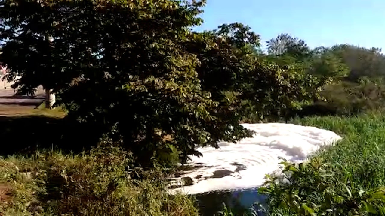 Espuma branca é encontrada no Rio Poxim em Aracaju, Sergipe