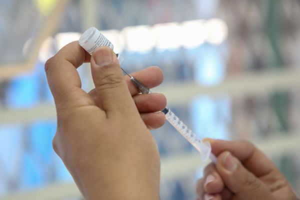 Estudos indicam impacto da vacinação na diminuição da transmissão do vírus