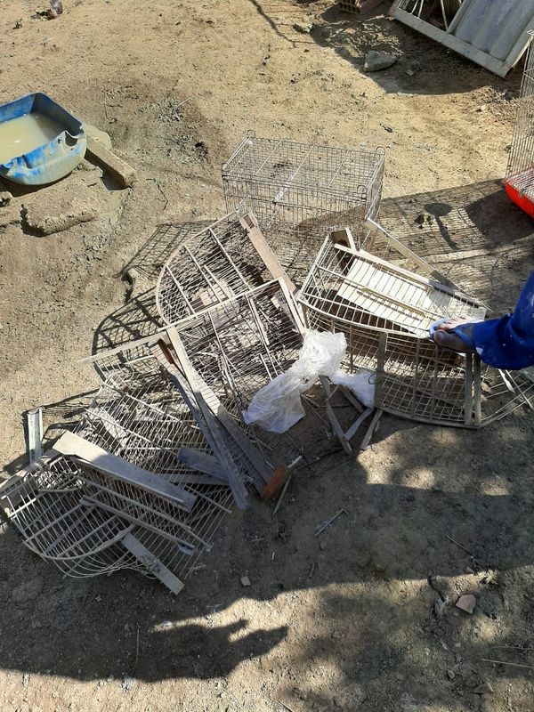 Caso de maus-tratos é investigado no bairro São Gonçalo, em Cariacica por Divulgação | CPI dos Maus-tratos Contra os Animais