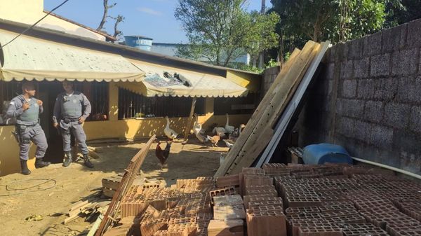 Caso de maus-tratos é investigado no bairro São Gonçalo, em Cariacica por Divulgação | CPI dos Maus-tratos Contra os Animais