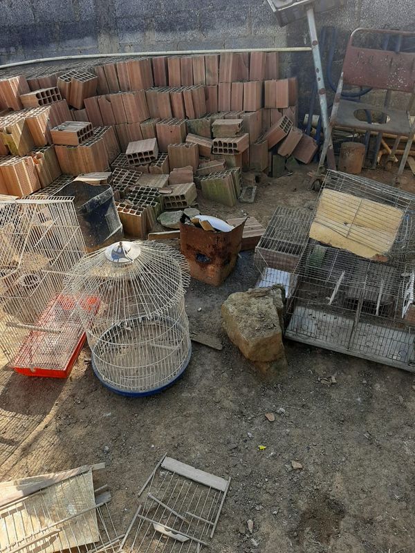 Caso de maus-tratos é investigado no bairro São Gonçalo, em Cariacica por Divulgação | CPI dos Maus-tratos Contra os Animais