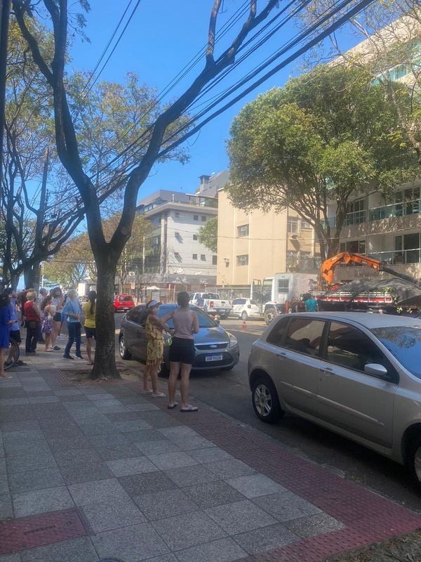Papagaio estava em uma árvore da Rua Eugenílio Ramos, no bairro Jardim da Penha, em Vitória por Érica Vaz