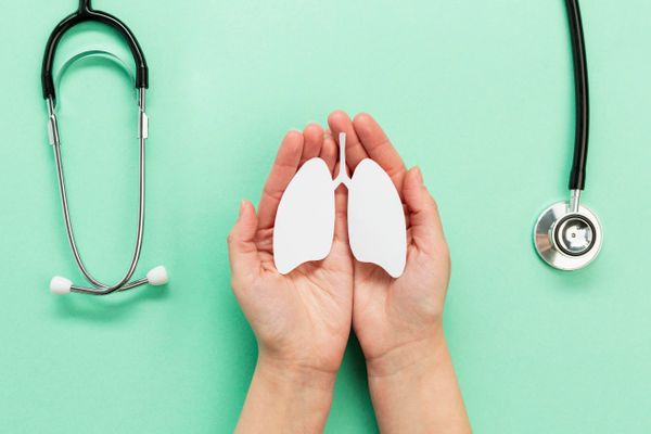 Pulmão, pulmões, sistema respiratório, respiração