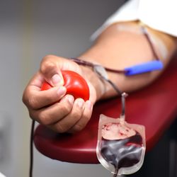 Hemoes aponta que os estoques de sangue dos tipos A-, A+, AB-, O- e O+ são os que apresentam os menores níveis. Em situação de alerta, encontram-se as tipagens B- e AB+