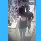 Imagem - Vídeo: homem invade loja, rende funcionária e rouba produtos na Serra