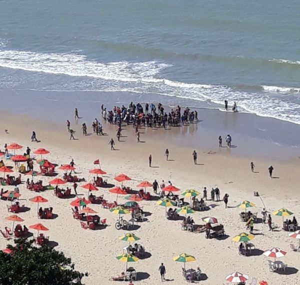 Ataque de Tubarão na praia de Piedade, em Pernambuco