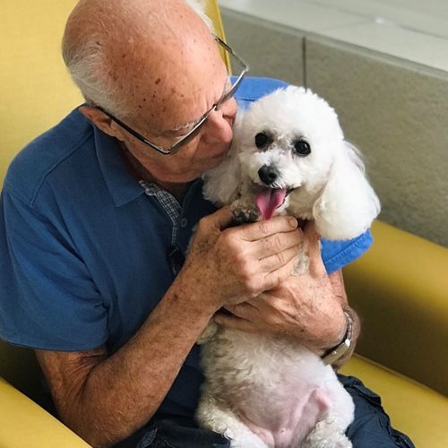 10 benefícios à saúde do paciente internado que recebe a visita do pet