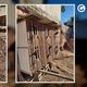 Imagem - Homem é preso por maus-tratos contra cachorro e galos em Itapemirim