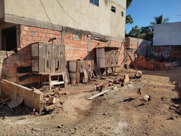 Autônomo de 53 anos foi detido na própria casa, no bairro Vila de Itapemirim, que fica na Zona Rural de Itapemirim por Divulgação | CPI dos Maus-tratos