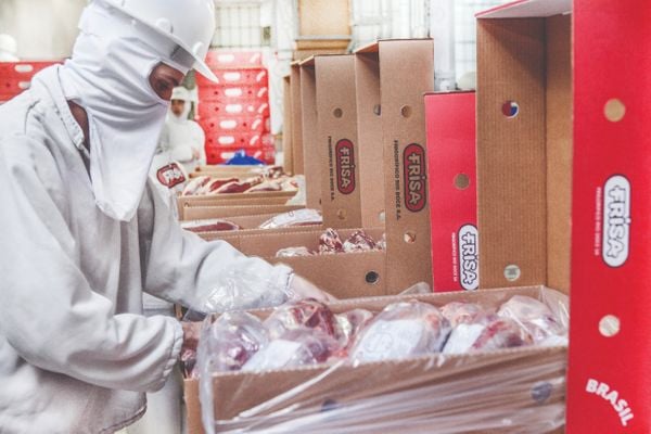 Carne da Frisa é exportada para Europa, Estados Unidos, China e Oriente Médio