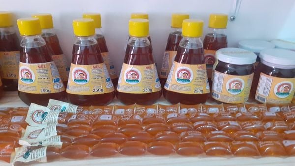 Feira Sabores da Terra por Feira Sabores da Terra/Divulgação