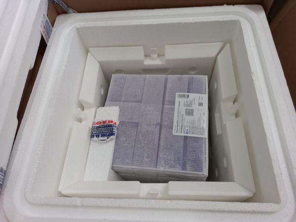 63.180 doses da Pfizer chegam ao ES por Ministério da Saúde