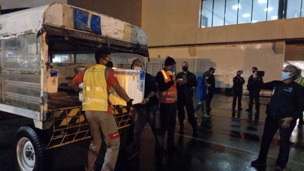 Doses da vacina Coronavac, contra a Covid-19, chegaram ao Espírito Santo neste sábado (31) por Divulgação | Sesa