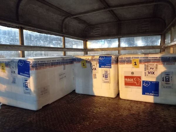 Doses da vacina Coronavac, contra a Covid-19, chegaram ao Espírito Santo neste sábado (31) por Divulgação | Sesa