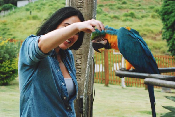 Bio Parque das Aves é nova opção de passeio para quem visita Domingos Martins, na região Serrana do ES
