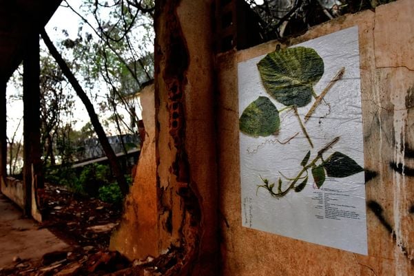 Exposição artística nas ruínas da Ilha da Pólvora por Fernando Madeira