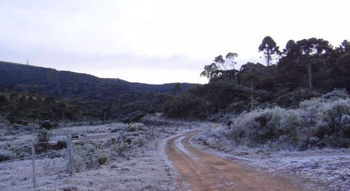 Com um inverno mais atípico, país tem visto onda de geadas. E elas ocorreram até no Espírito Santo. Saiba como os produtores rurais têm lidado com situação no Estado