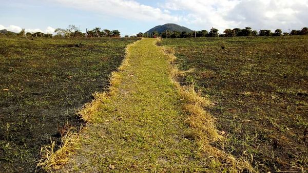 Área queimada fica na localidade de Santíssima Trindade, interior de Iúna 
