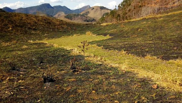 Área queimada fica na localidade de Santíssima Trindade, interior de Iúna 