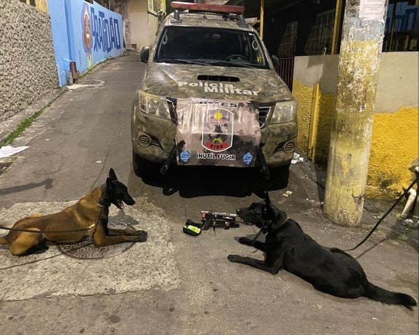 Material encontrado pela polícia com o apoio da Companhia Independente de Operações com Cães (CIOC) em Vitória