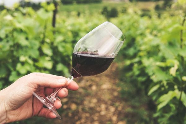 Vinho